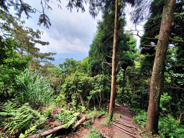 新竹民都有山，鵝公髻山，五指山，桃園赫威神木群步道，赫威山，高坡彩虹瀑布，苗栗山塘背步道，小北埔山1685640