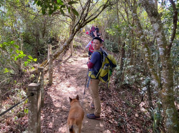 馬那邦山.細道邦山【你 不能預判山的變幻莫測】2401490