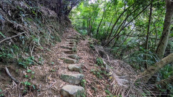 石笋古道,遇見雞母嶺2340718