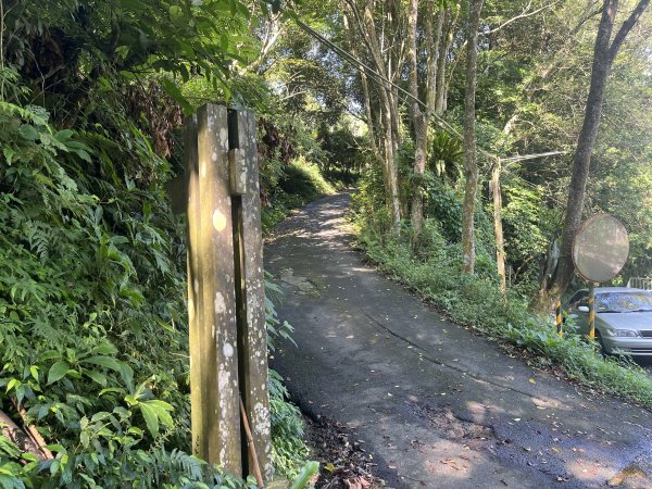 [皮皮獅Hike客任務-07/10] 2024_0831 大山背麒麟步道2586089