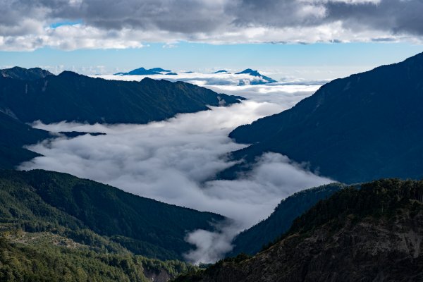 合歡北峰-圓柏的視野466865