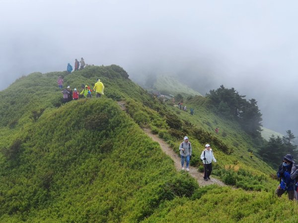 新手登百岳創高峰-合歡南連走主峰1138420