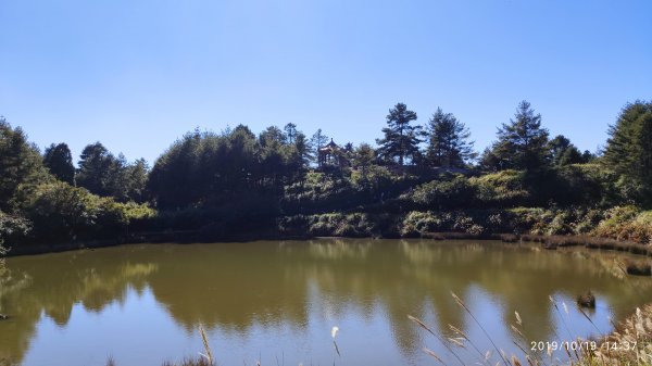 大雪山神木&天池715430