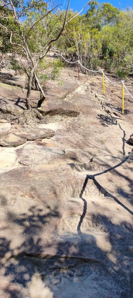 內湖金面山22690009