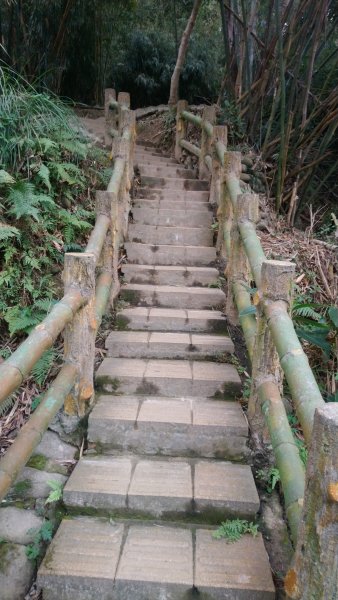 高峰植物園1564077