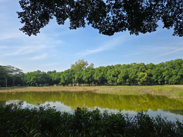 川文山森林保育農場（小陽明山）+大隆田生態園區2644870