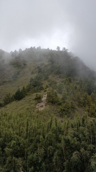 雪山之美，翠池仙境642564