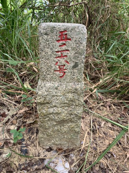 20251024台南大坪山2925597