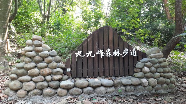 《南投》峰峰相連｜草屯九九峰森林步道O型202509062879236