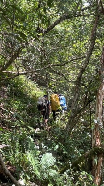 烏來阿玉溪山/西坑林道/探勘派出護管所彈藥庫遺址至獅坑橋2582018