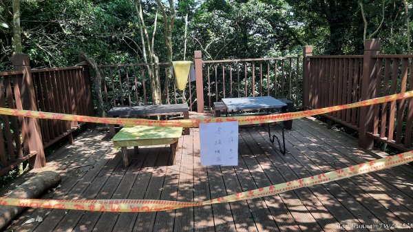 《台中》虎頭蜂巢｜大坑5號登頭嵙山黑松亭（聖普宮）202508092855076