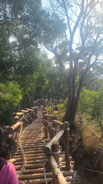 2026-0118新竹新埔文山步道2984654