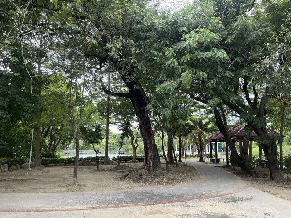 [全臺走路趣尋寶-25/100] 2024_0706_南瀛綠都心公園2546362