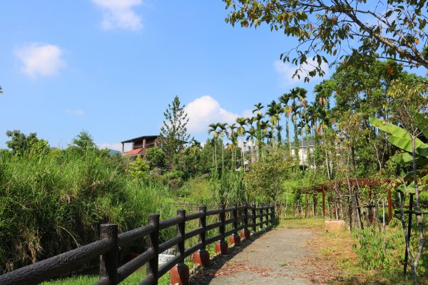 南投魚池~花茶香田園好風光~澀水田頂步道1026773