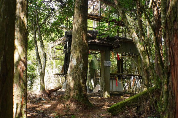 新竹 尖石 屯野生台山、石麻達山、錦屏山2904309