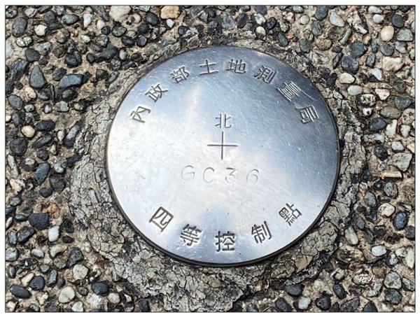 阿里山神木群棧道2771610