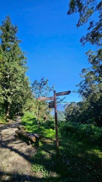 20251106北大武山步道☁️ 喜多麗雲海2931376