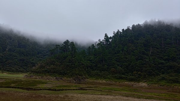 棲松縱走未竟2918409