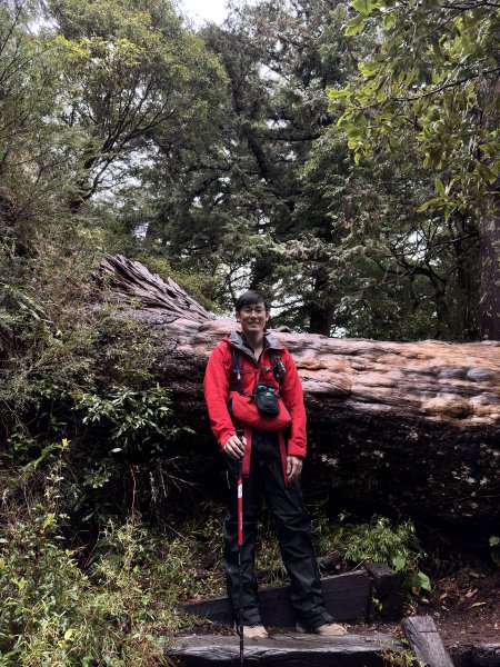 20250110 庫哈諾辛山(進涇橋登山口)2686246