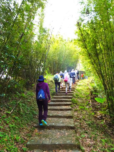 【新竹橫山】大崎棟古道107528