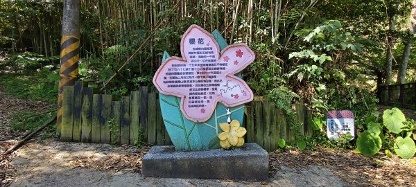 2026/05/31_白蘭溪古道O型3066877