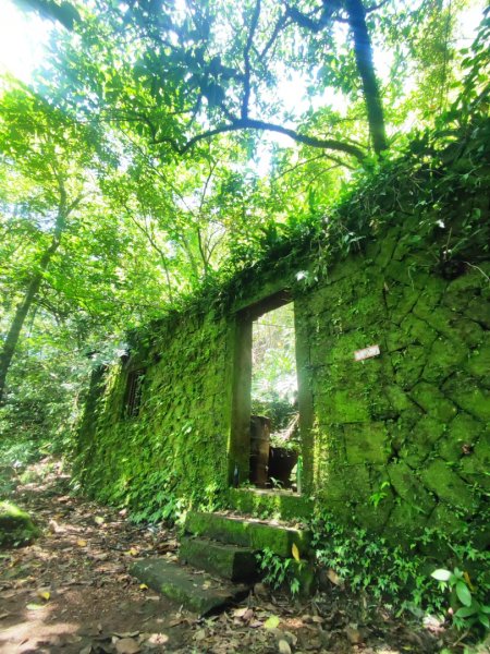 淡蘭北2+1逆走二刷2772771