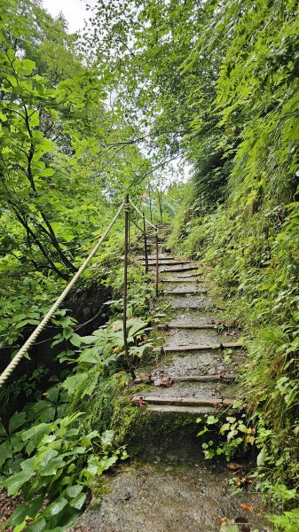 240814-白神山地世界自然遺產地域。美美兔不能錯過的日本東北健行路線。2603907