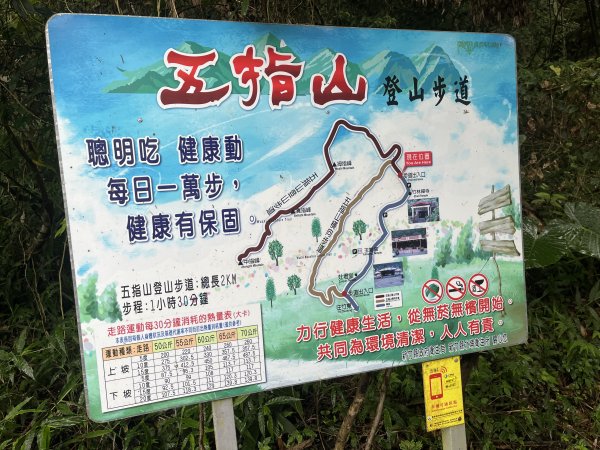 [皮皮獅Hike客任務-03/10] 2024_0720 五指山橫向登山步道2557156