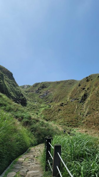 七星山主東峰登高望遠2117053