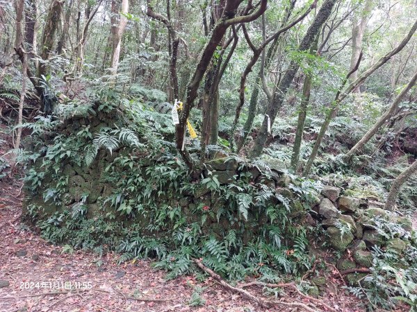 2024-01-01 淡蘭古道北路~燦光寮古徑（瑞芳-九份-牡丹）2391969