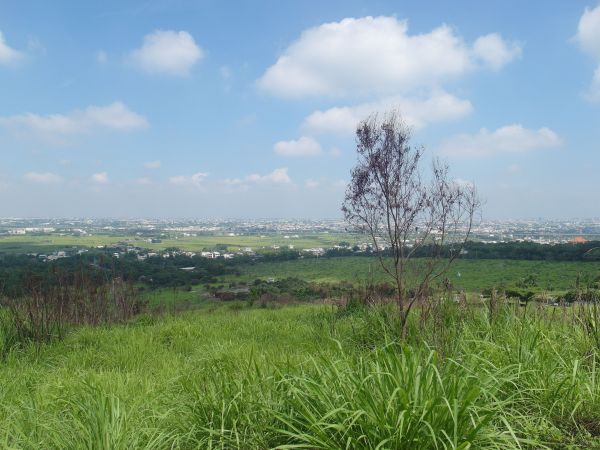 彰化社頭清水岩到田中鼓山寺之森林步道