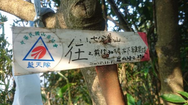 五指山古道O走-友蚋山-新山夢湖178452