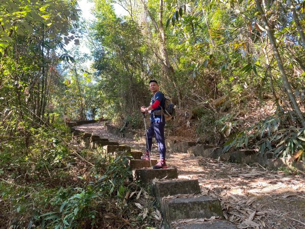 風櫃斗.牛稠坑.二坪山古道【遙知不是雪，為有暗香來】2703869