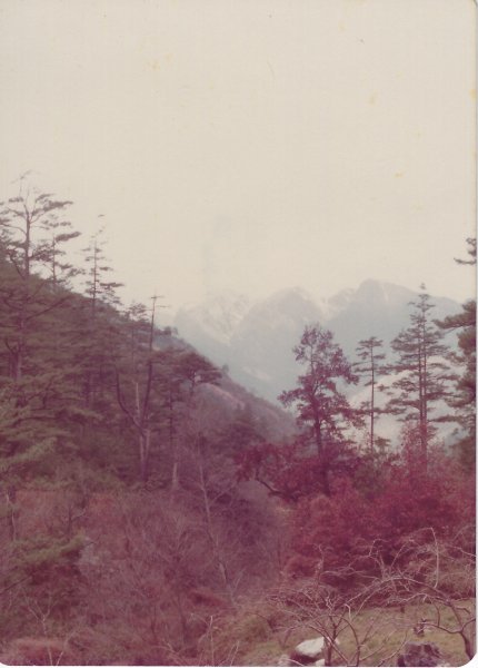 雪山主東峰賞雪行(民國71年)711204