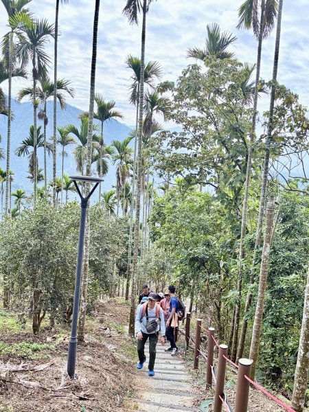 阿拔泉.獨立山悠遊--好友重逢的雲端漫步   2026.01.172985439