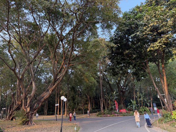 [茂名馬之行-12] 2026_0119 蓮花山公園2996932