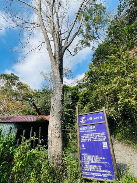 1141129巨人之手｜雪山坑登山步道2949155