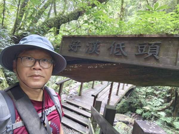 2025_0713 拉拉山神木群步道2837467