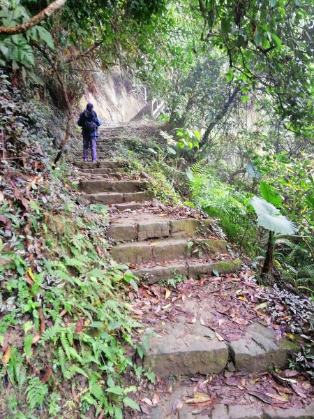 台南東山~山上尋悠。 #65小百岳崁頭山915982