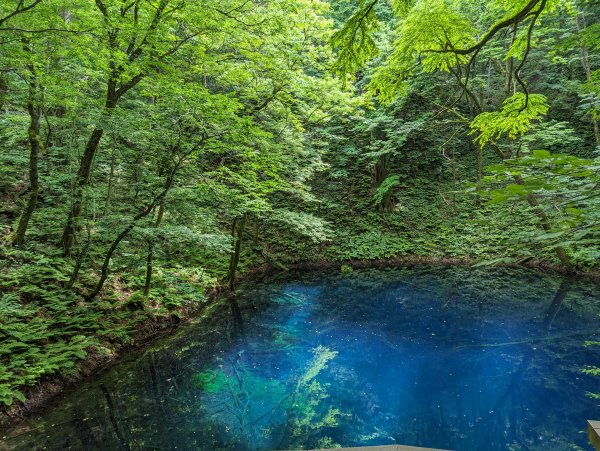 2023-06-14 十二湖（日本）2793213