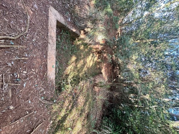 新竹新埔-蓮華山古道2628619