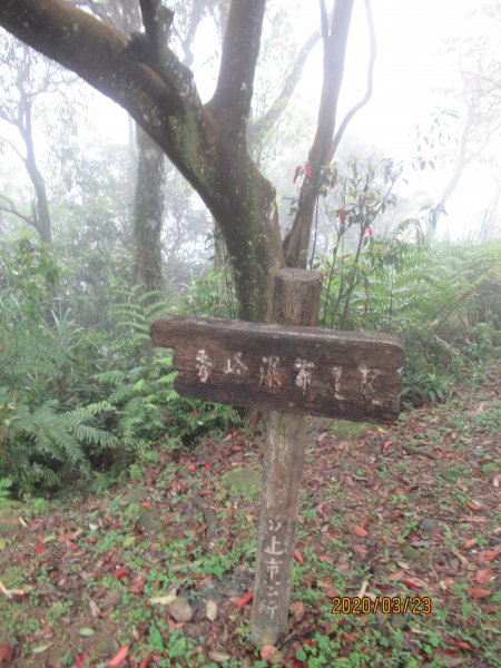 汐止大尖山908483