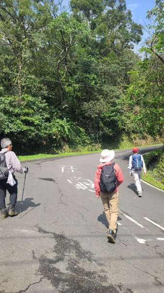 2025-0204 鶯歌_大凍山_三角埔頂山_迴龍2707867