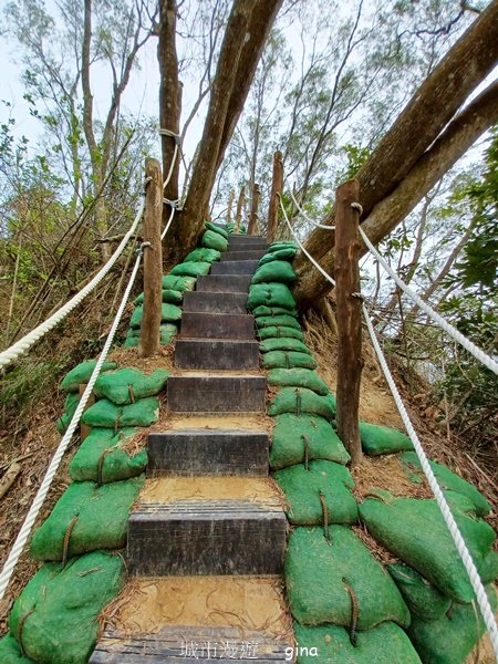 【台中豐原】平易近人。 豐原萬里長城登山步道x寮水山2517562