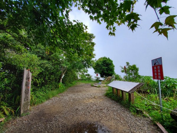 小百岳-馬那邦山1082613