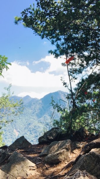 20210926七雄-唐麻丹山1469444