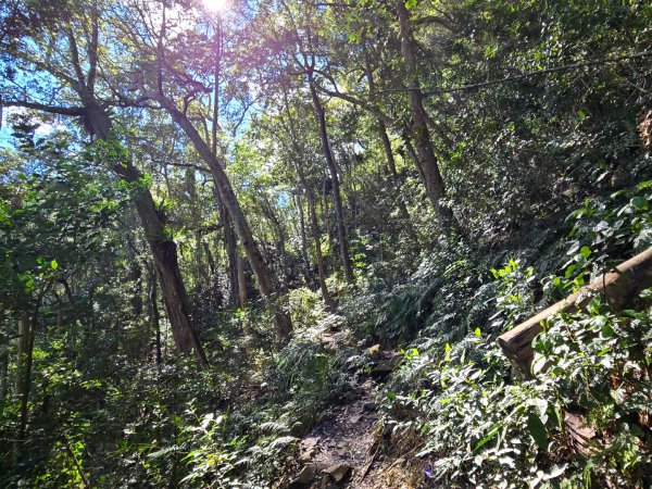 八仙山森林遊樂區、佳保台山2712664