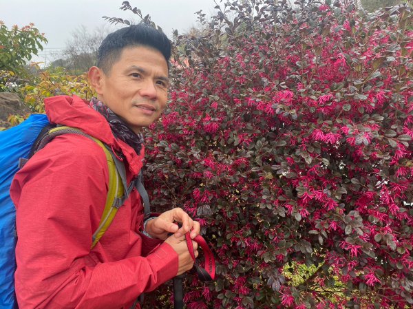 烏嘎彥竹林步道.馬都安古道【因為堅持 所以更顯珍貴】2064491