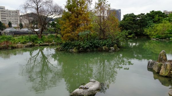 文山公園,蟾蜍山,台大2016462