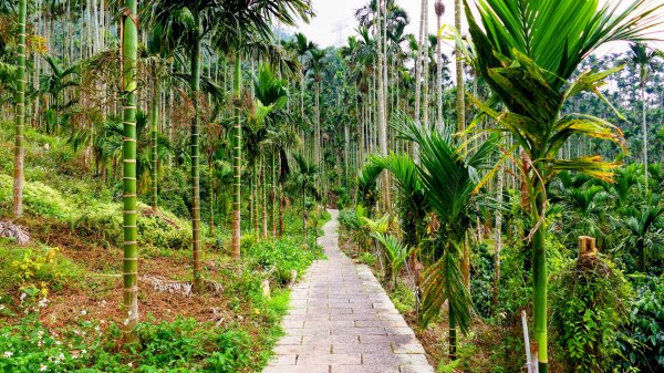 華山小天梯,情人橋2948589